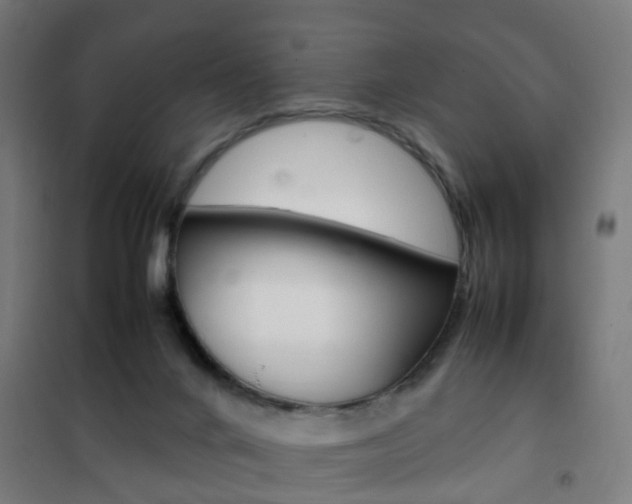 X0000102250024200807250911