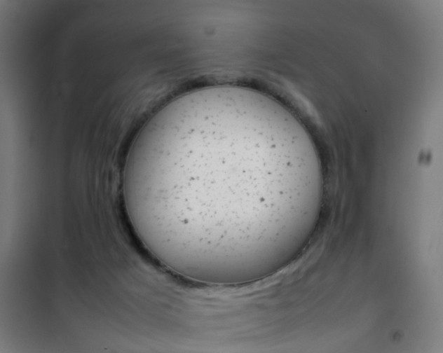 X0000102250025200807250911