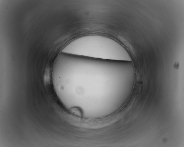 X0000102250026200807250911