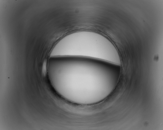 X0000102250028200807250911