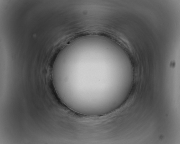 X0000102250029200807250911