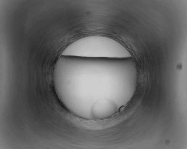 X0000102250030200807250911