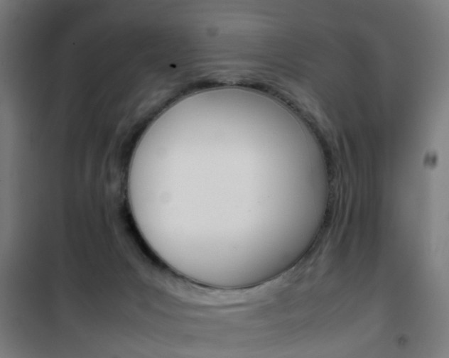 X0000102250031200807250911
