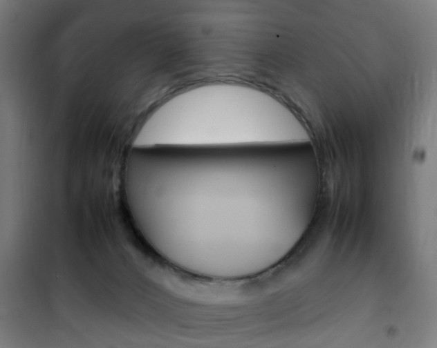 X0000102250032200807250911