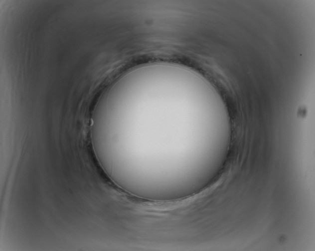 X0000102250033200807250911