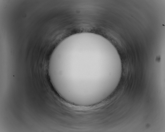 X0000102250034200807250911