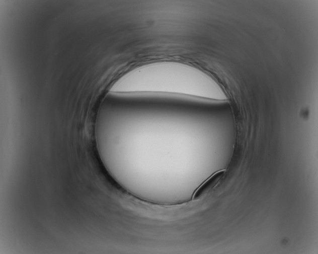 X0000102250035200807250911