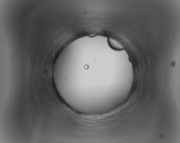 X0000102250037200807250911