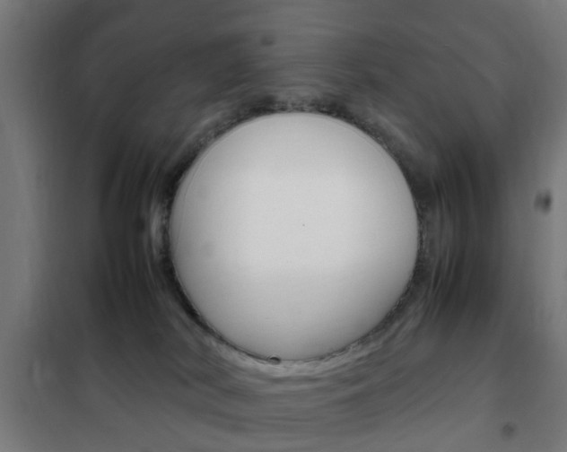 X0000102250038200807250911