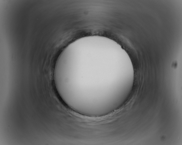 X0000102250039200807250911