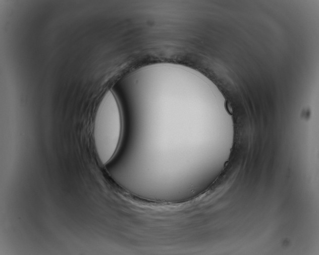 X0000102250040200807250911