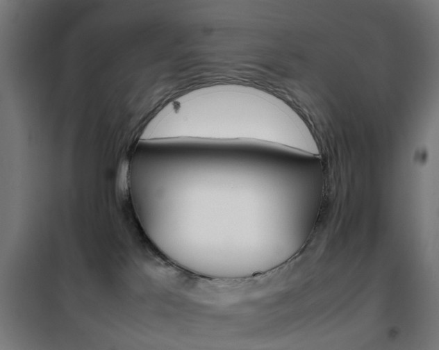 X0000102250041200807250911