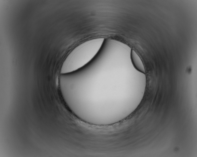 X0000102250042200807250911