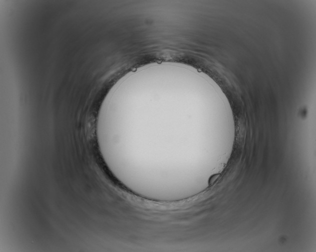 X0000102250043200807250911