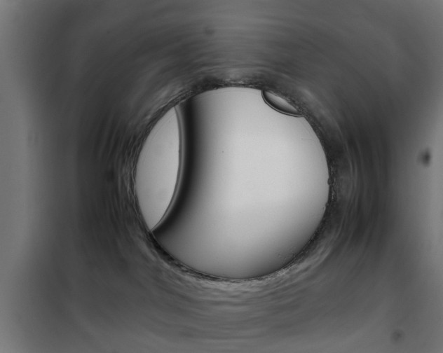 X0000102250044200807250911