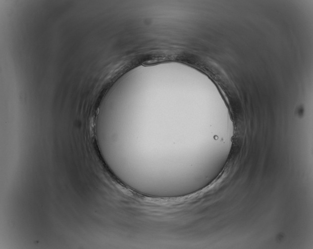X0000102250045200807250911