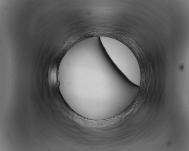 X0000102250046200807250911