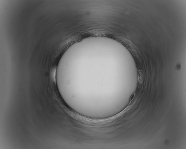 X0000102250047200807250911