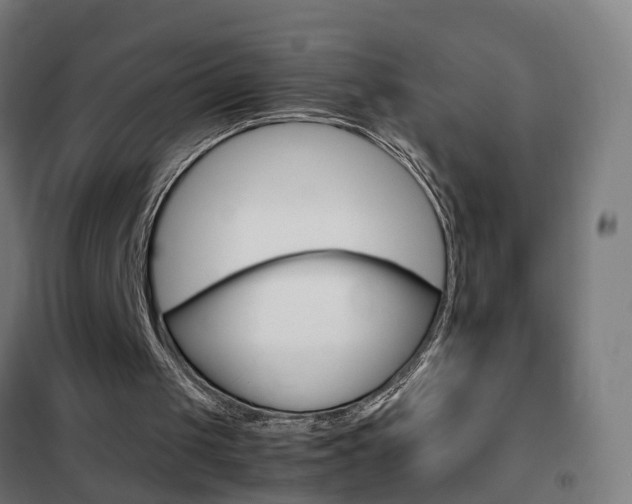X0000102250049200807250910