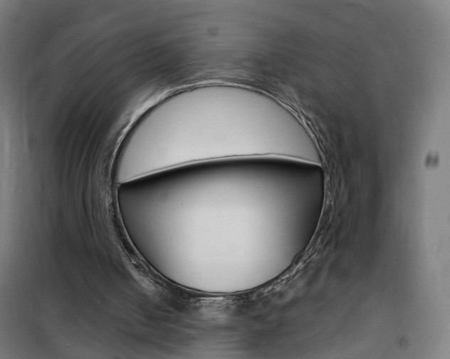 X0000102250050200807250910