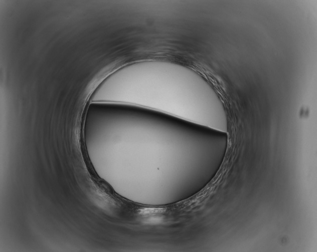 X0000102250051200807250910