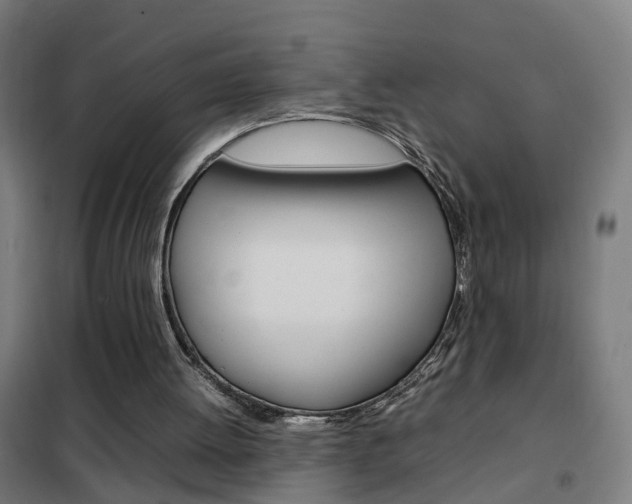 X0000102250052200807250910