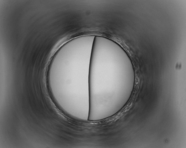 X0000102250053200807250910