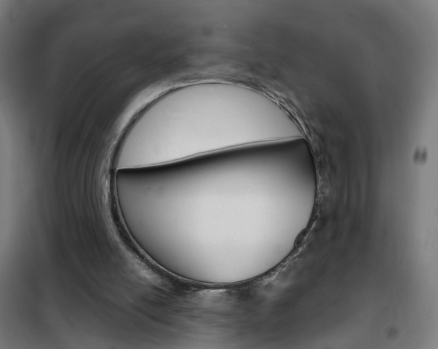 X0000102250054200807250910