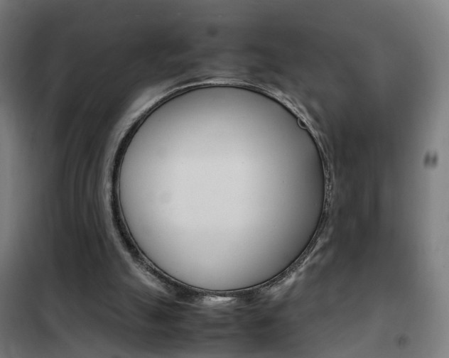 X0000102250055200807250910