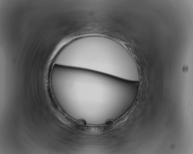 X0000102250056200807250910
