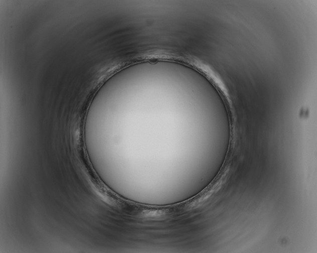 X0000102250057200807250910