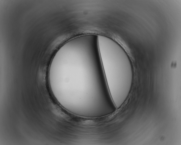 X0000102250058200807250910