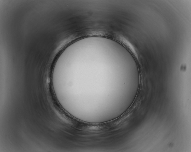 X0000102250059200807250910