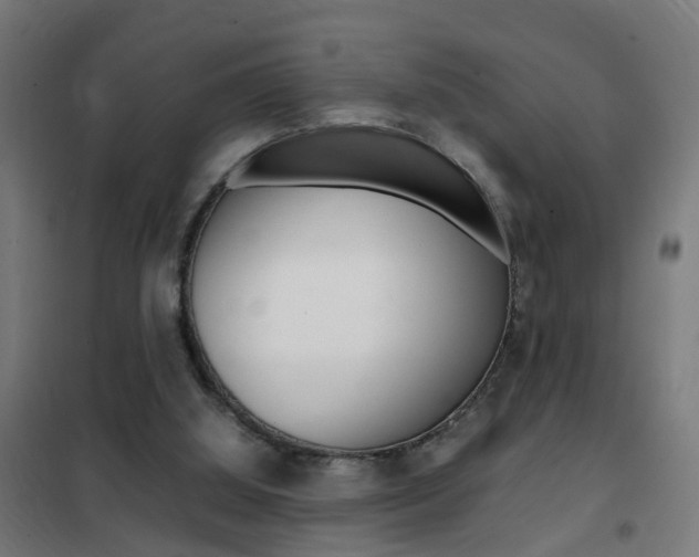 X0000102250060200807250910