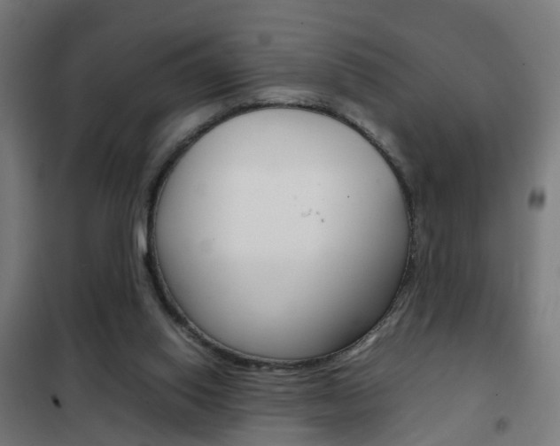 X0000102250062200807250910