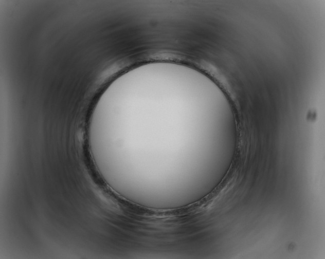 X0000102250063200807250910
