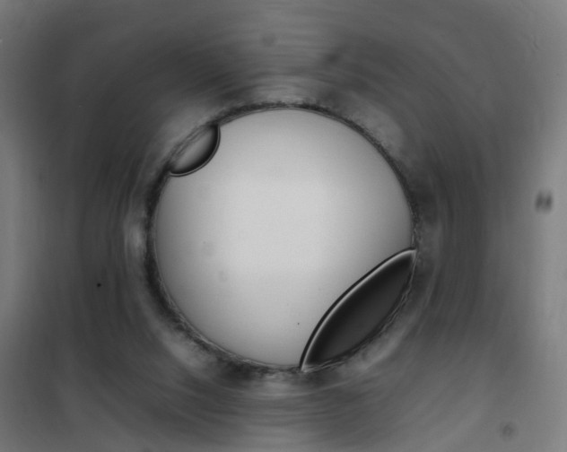 X0000102250064200807250910