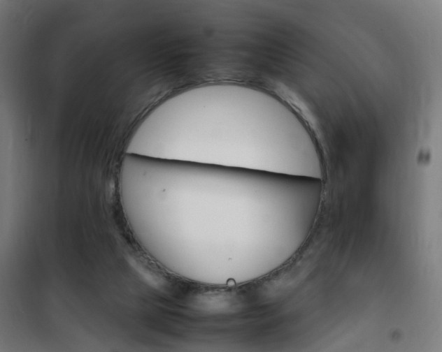 X0000102250065200807250910