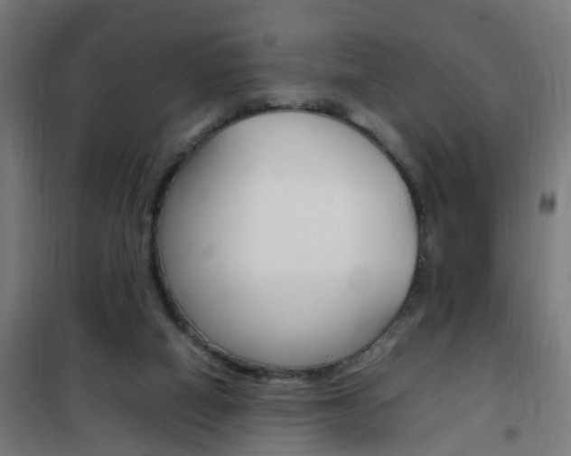 X0000102250066200807250910