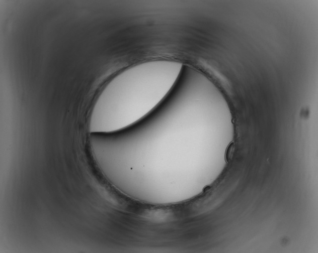 X0000102250067200807250910