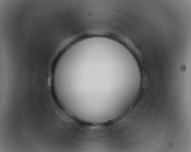 X0000102250068200807250910