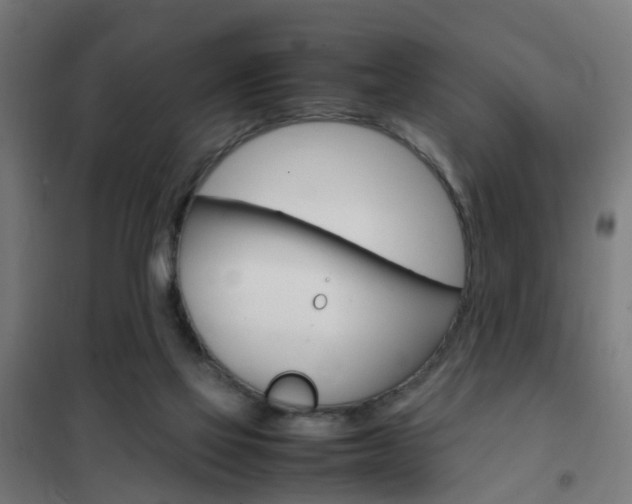 X0000102250069200807250910