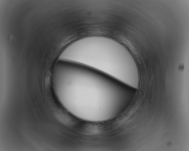X0000102250071200807250910