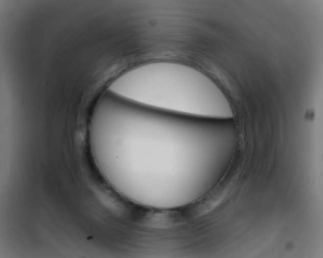 X0000102250072200807250910