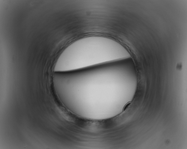 X0000102250074200807250910