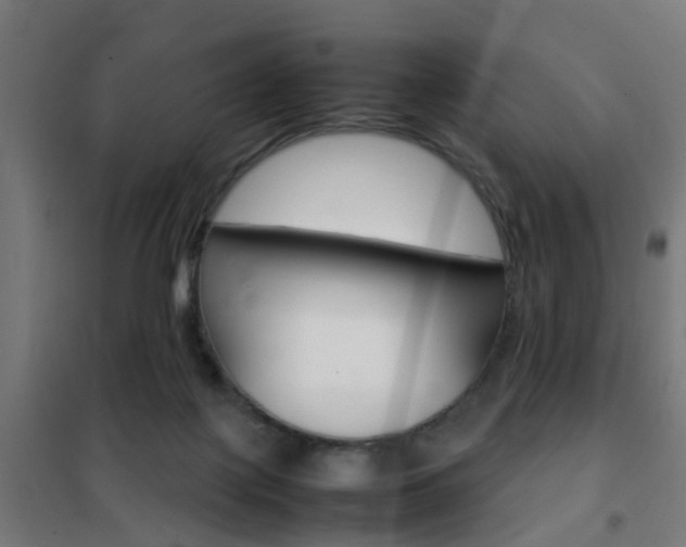 X0000102250075200807250910