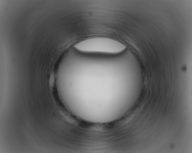 X0000102250076200807250910