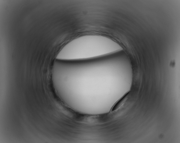 X0000102250078200807250911