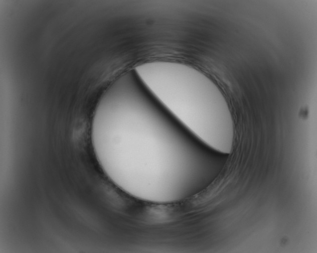 X0000102250079200807250911