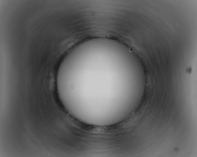 X0000102250080200807250911